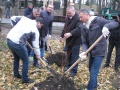 Зеленый фонд Ставрополя пополнился сотней молодых деревьев 